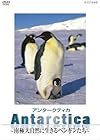 Antarctica `ɁE厩RɐyM`[DVD]