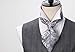 SetSense Men's Ascot Floral Paisley Jacquard Woven Cravat Tie ,Gray / Silver,One Size