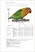 The Encyclopedia of Agapornis - Lovebirds