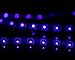 ANJAYLIA Black Light LED Strip Lights 16.4ft 300leds Blacklight Strip Waterproof IP65 with 12V 2A Power Supply