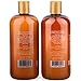 Purelis Argan Oil Shampoo and Conditioner Set, Extra Strength Formula with Keratin & Dead Sea Minerals. Restores Shine, Moisturizes Dry & Damaged Hair, Enhances All Hair Types HUGE 16.9 oz. Each.