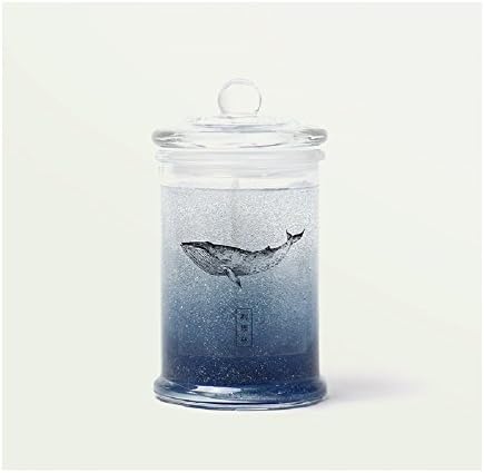 RIRIRHIM Sparkling Whale Jell Candle Gradation 9Oz