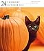Cat Page-A-Day Gallery Calendar 2019