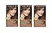 Clairol Natural Instincts 6G 12 Toasted Almond Light Golden Brown 1 Kit (Pack of 3)
