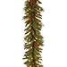 National Tree 9 Foot by 10 Inch Pine Cone Garland with 50 Clear Lights (PC-9GLO-1)