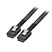 Cable Matters Internal Mini SAS to Mini SAS CableMini-SAStoMini-SASCable 1.6 Feet, 0.5m