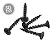 Qualihome #6 Coarse Thread Sharp Point Drywall Screw with Phillips Drive #2 Bugle Head, 1 Lb/Pound, Black, Ideal Screw for Drywall Sheetrock, Wood and More, 1 Inch, 325 Pack