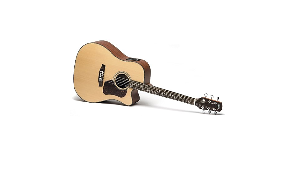 Amazon.com: Walden Guitars acústica Walden Guitars d550ce Natura Serie para  Guitarra Dreadnought : Instrumentos Musicales