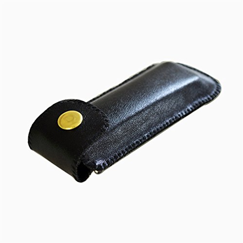 WANDIC Diatonic Harmonica Standard 10 Hole Harmonica with Case Key of C for Beginner Students Kids Gift Black