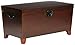 Southern Enterprises Pyramid Storage Trunk Cocktail Table, Espresso Finish