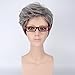SaiDeng Women Gradient Stylish Harajuku Style Oblique Bang Cosplay Short Hair Wig Granny Gray 45cm