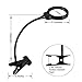Lelife Magnifying Lamp with 3 x Magnifier Clip On Light Reading Lamp (Adapter Included)