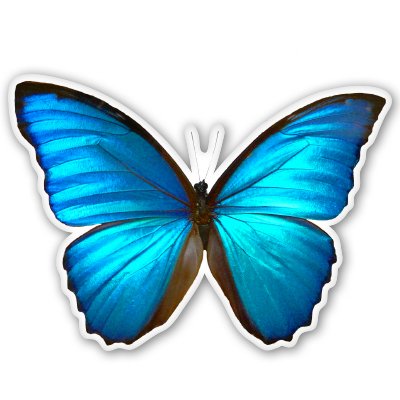 Blue Morpho Butterfly Beautiful Vinyl Sticker - Car Phone Helmet - SELECT SIZE