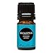 Edens Garden Eucalyptus- Globulus 5 ml 100% Pure Undiluted Therapeutic Grade Essential Oil GC/MS Tested