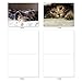 The Best Card Company - 10 Adorable Blank Cat Cards (4 x 5.12 Inch) - Cute Pet Kittens, Assorted Bulk Notecard Set - Cat You See Me Now M1543BN