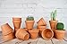 My Urban Crafts 16 Pcs Small Terracotta Pots 2.5 x 3 inch Mini Flower Clay Pots with Drainage Hole Ceramic Pottery Terra Cotta Planter for Succulents and Cactus, Wedding Favors and Baby Shower Favors