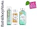 Bath Body Works Magic in the Air Mist, Lotion and Shower Gel