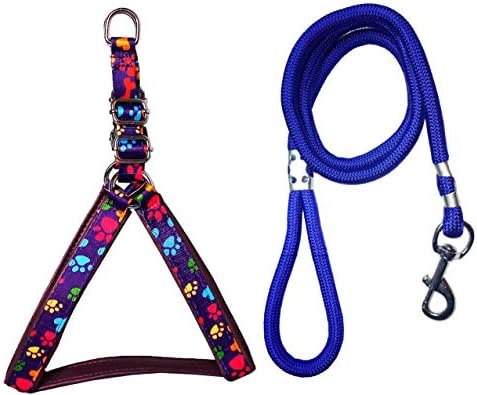 Petshop7 Printed Fancy Padded Dog Harness & Leash Rope Set 0.75 inch - Small (Chest Size : 22-25inch) (Purple)