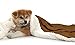 KritterWorld Pet Microplush Sherpa Snuggle Blanket, 50-Inch-by-60-Inch Brownthumb 1