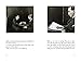 The Subversion of Images: Notes Illustrated with Nineteen Photographs by the Author