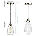 Pendant Light 3-Pack, Farmhouse Edison Hanging Lights Height Adjustable, SHINE HAI Mini Glass Pendant Lighting Fixture, Modern Industrial Vintage Lamp