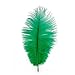 10pcs Home Decor Dark Green Ostrich Feathers