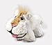 Stuffies - Baby Champ the Lion