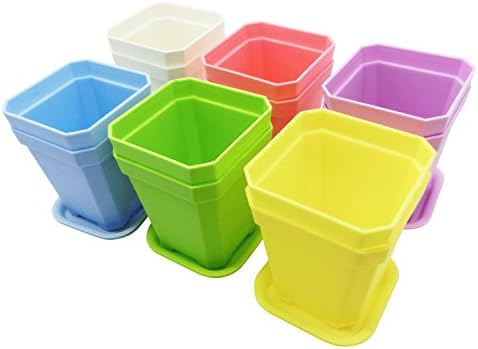 MoloTAR 12pcs Thicken Colorful Square Plastic Plant Pot, Planter, Flower Pot with Pallet Tray Saucer for Decoration of Home Office Desk Garden Flower Shop