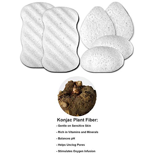 Konjac Body Sponge (6 Pack) Individually Wrapped MultiPack Pure (White