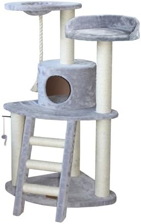 aussie labradoodle puppies