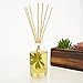 LOVSPA Reed Diffuser Set, Lush Palm & Jasmine Scented Oil Diffuser with Sticks, Home Fragrance Accessories for Bathroom Shelf Decor, Aroma Diffusers for Home or Office Desk, USA Made