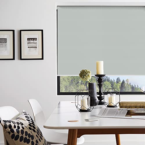 Homebox 100 Blackout Roller Window Shades, Window Blinds with Thermal