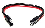 Pro Trucker 2 Pin Quick Disconnect Wire Harness SAE Connector Bullet Lead Cable - (10 Gauge / 24")