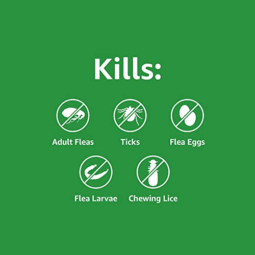 Amazon Basics Flea and Tick Topical Treatment for Cats (over 1.5 pounds