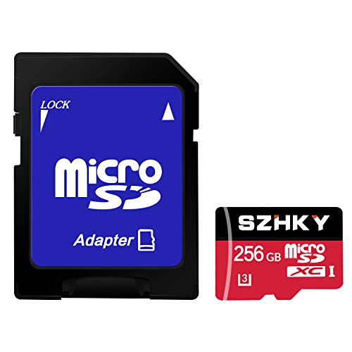 v60 micro sd card 256gb