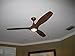 Tidal Breeze 56 in. Indoor LED Distressed Koa Ceiling Fan