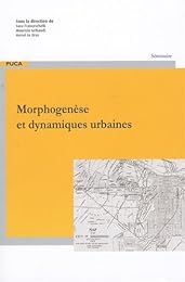 Morphogenèse et dynamiques urbaines