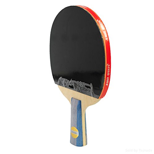 DHS Ping Pong Table Tennis Racket Paddle Bat 6 Star Penhold Short Handle Double Pimples-in Bat 6006