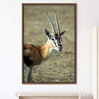 Framed Canvas Wall Art Deer Animals Deer Multicolor Photography Rustic Urban - 16x24 inches