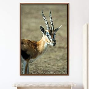 signwin Framed Canvas Wall Art Deer Animals Deer...
