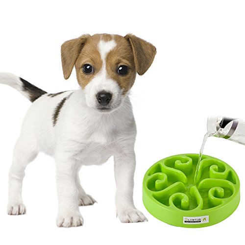SlowTon Pet Slow Feeder Bowl, Non Toxic Bloat Stop Interactive Dog Feed Water Bowl Fun Puzzle Dish with Non Skid Base Prevent Choking indigestion vomiting with Bonus Clean Brush - Thumbnail 6