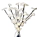 Lighted Flowers White Rose Branches 20 Inches Tall Battery Operated Warm White 40 Led Decoration Floral Branch Crafts With Timer by Babali