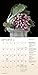 Simply Raw 2017 Calendar: Vegetable Portraits