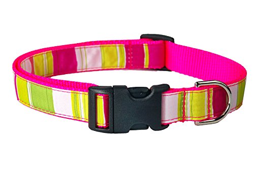 Sassy Dog Wear 3/4" x 13"-20" Stripe Dog Collar, Medium, Neon Pink/Multicolor