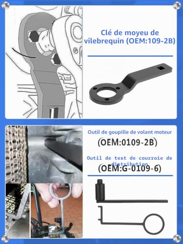 Wvoillty 10pcs Engine Adjustment Tool Set Compatible with Peugeot, Citroen, Vauxhall, for 1.2 Vti (VVT) /GDI PureTech Petrol, 109-2A, 0109-2B, 109-2C, 109-2D, G-0109-2E