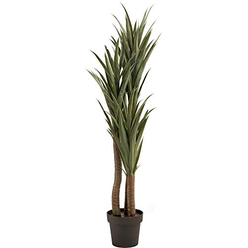 JTF Mega Discount Warehouse Yucca Potted Plant 100cm