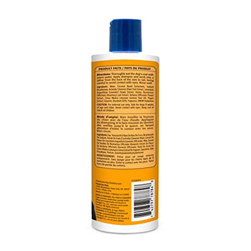 odor eliminating dog shampoo