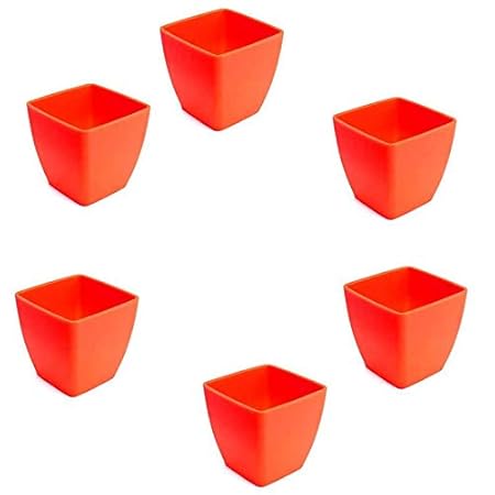 Antier Plastic Planter, White, 2 in, 6 Pieces