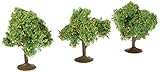 Orange Trees 2.25