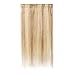 16 Human Hair Clip in hiGHLIGHT 18613